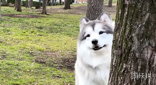 深圳队客场,败给沧州雄,十轮联赛颗,k1体育平台,k1体育官方网站,k1体育登录入口,k1体育app下载