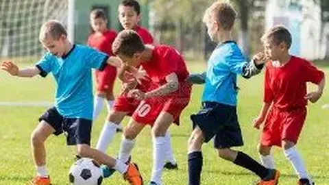 k1体育 产品 095138 xqe