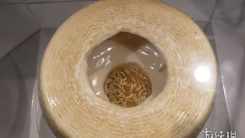 CBA连战告捷，客场四连胜气势如虹，主场霸主是否即将苏醒？